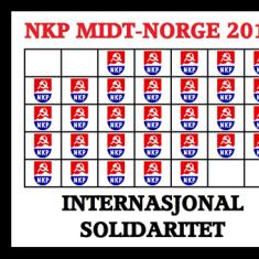 Internasjonal Solidaritet 2014