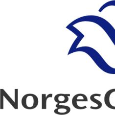 Monopolkapitalismen i detaljhandelen