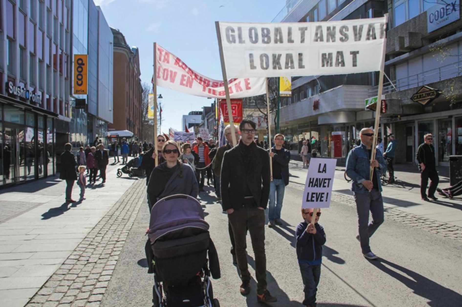 troms1.jpg